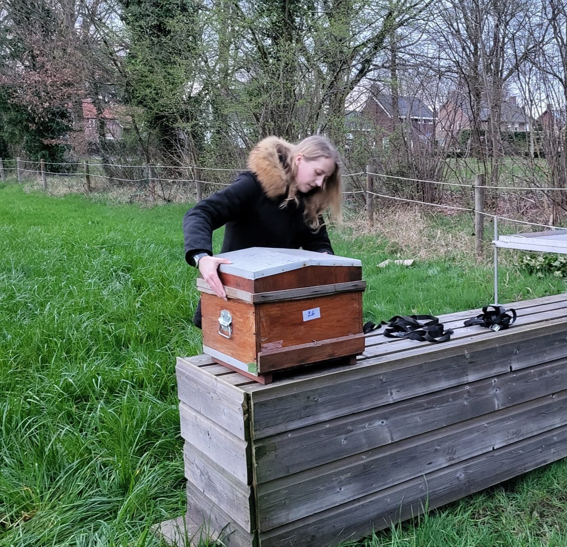 Eerste nieuwe bijenkast van het jaar